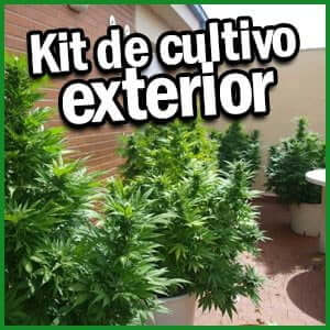 kit de cultivo exterior marihuana.jpg