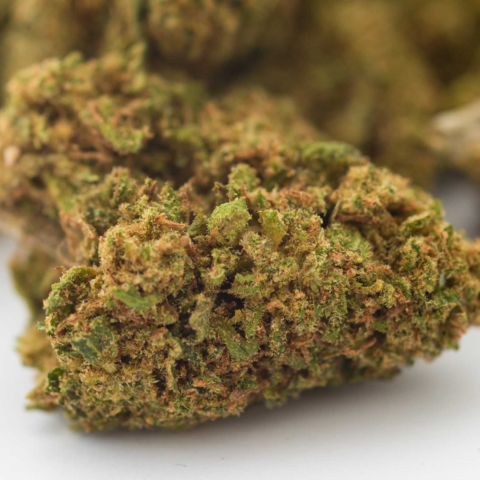 AmnesiaHaze Outdoor 12