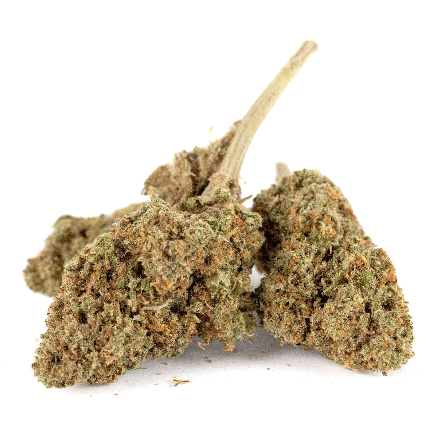 Biscoti Outdoor Out1