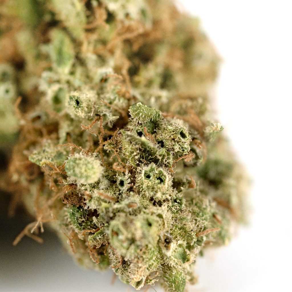Cannatonik Outdoor Detail2