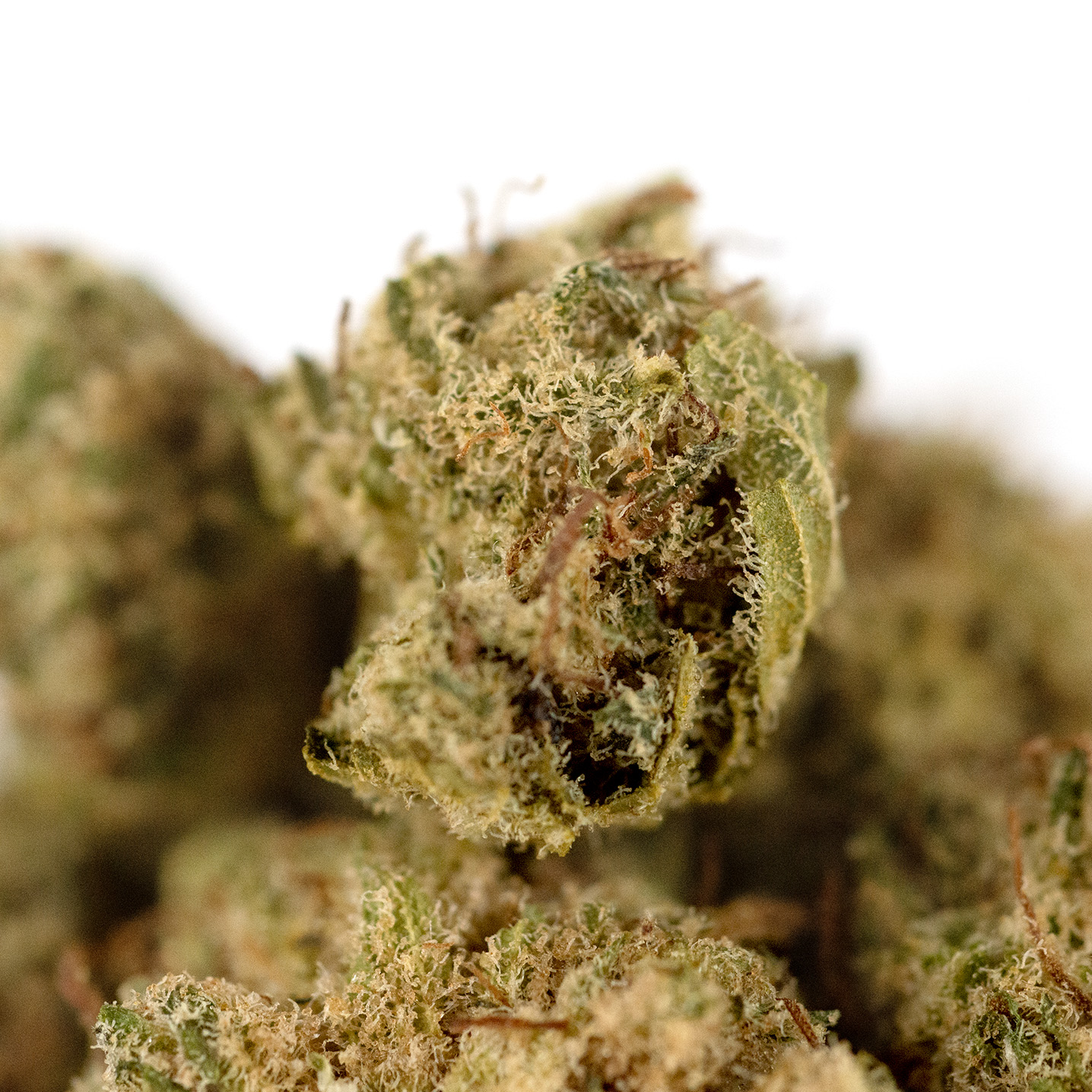 Cannnatonic Premium Detail2