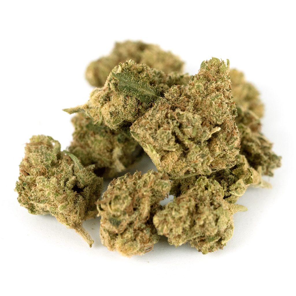 Gelato41 Indoor Out