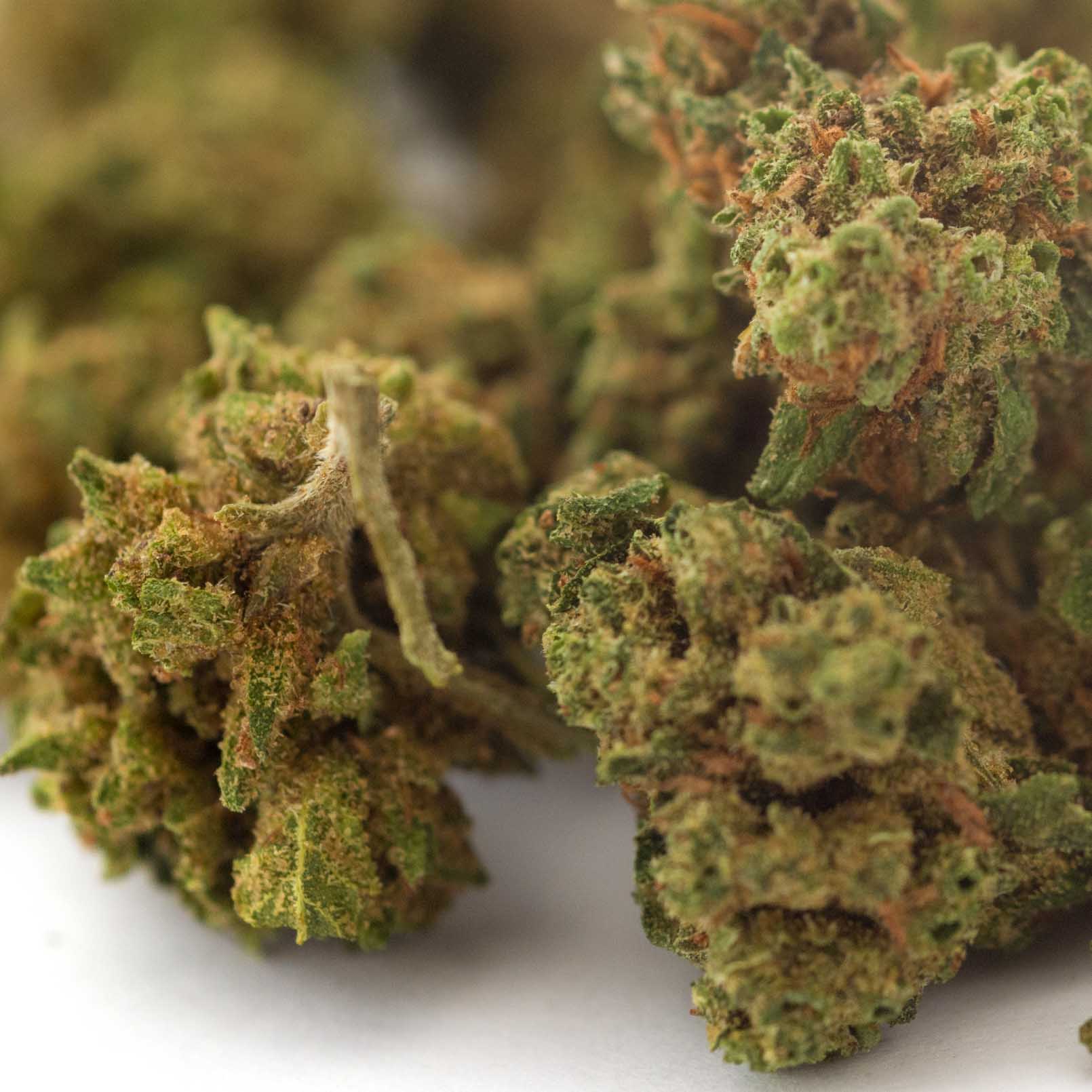 Gelato41 Outdoor 12 Gelato41 Outdoor 12
