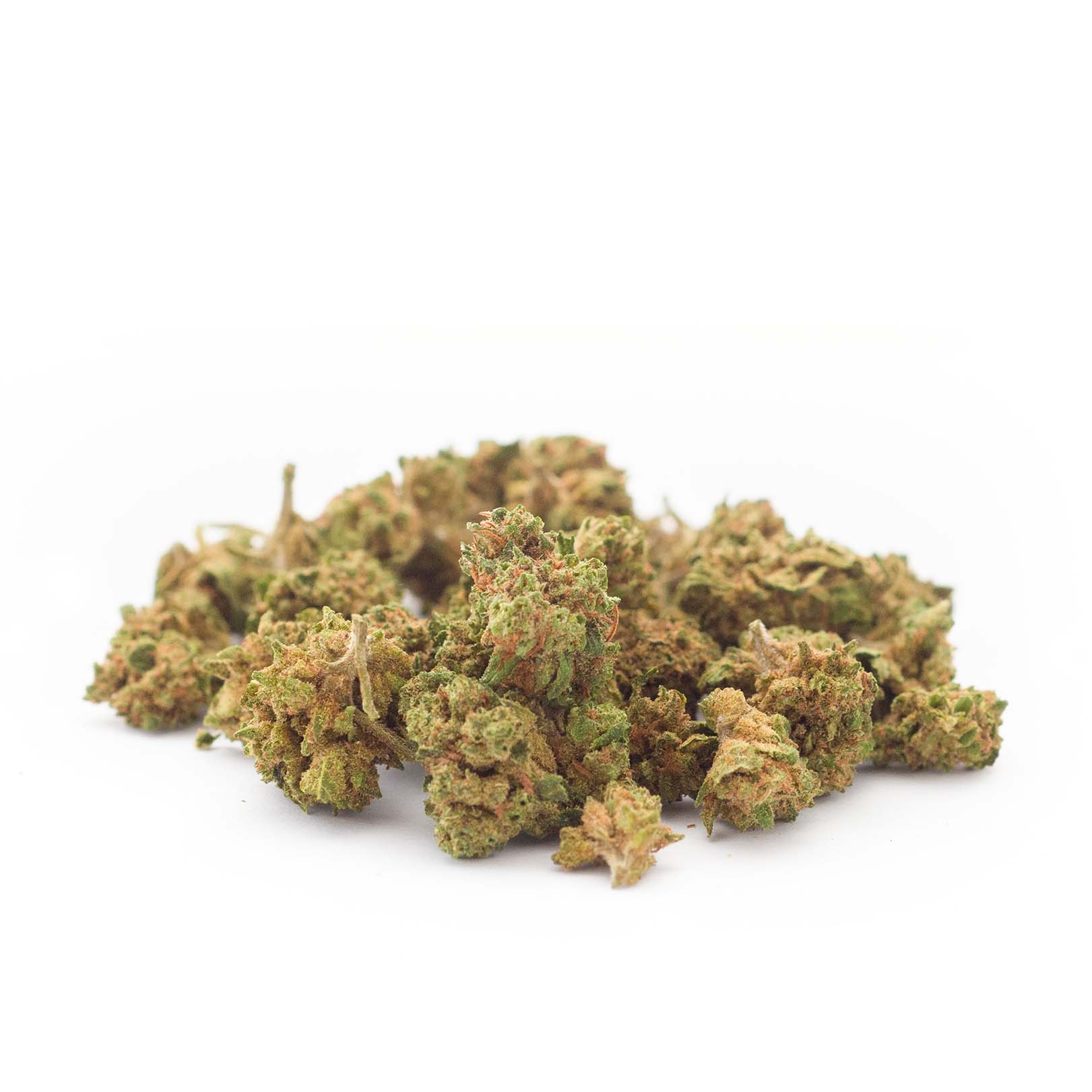 Gelato41 Outdoor 21 Gelato41 Outdoor 21