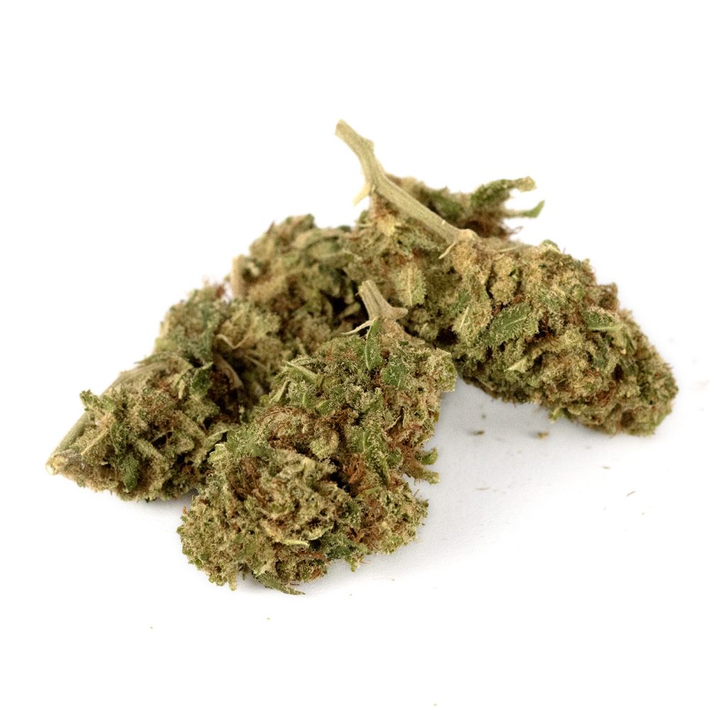 Gelato41 Premium Out1 Gelato41 Premium Out1