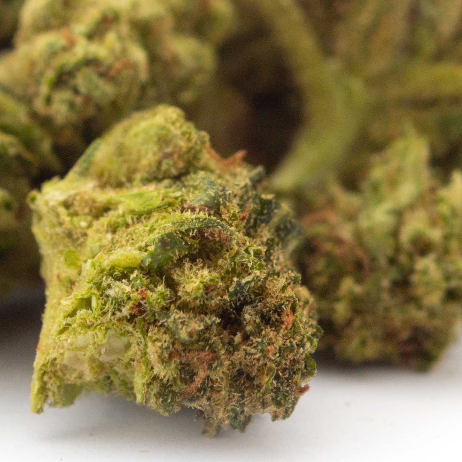 OGKush Outdoor 22 OGKush Outdoor 22