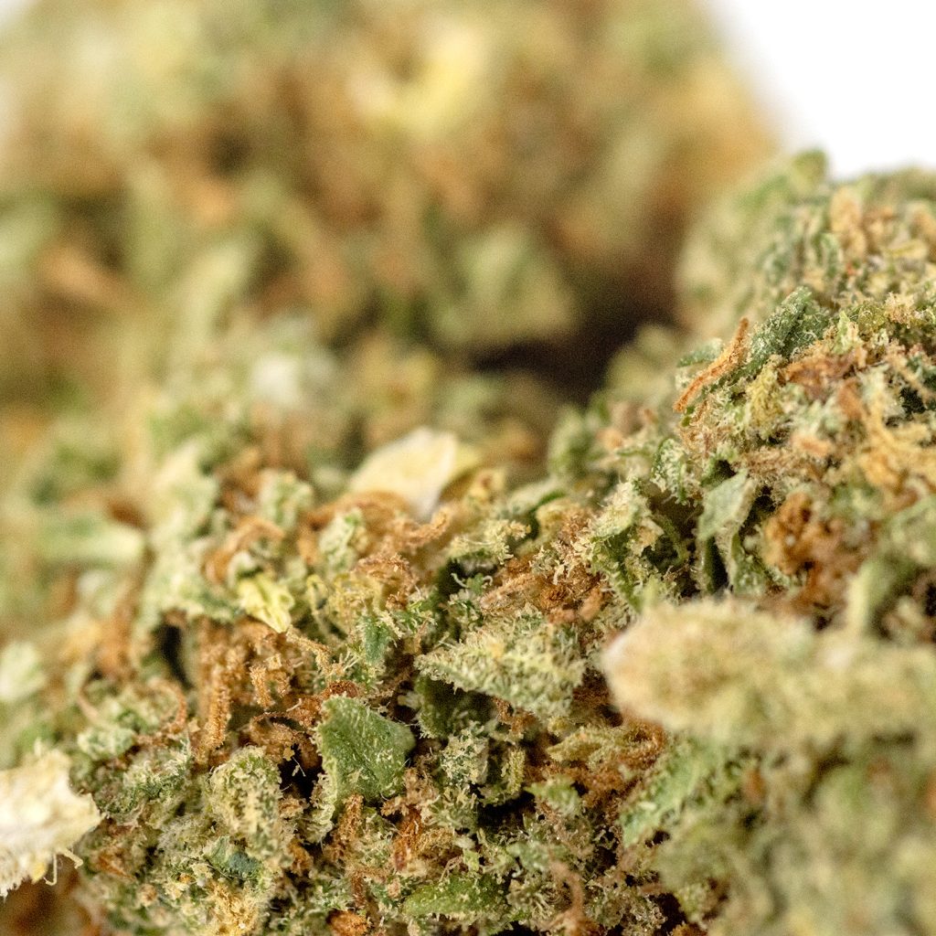 OGKush Premium Detail2