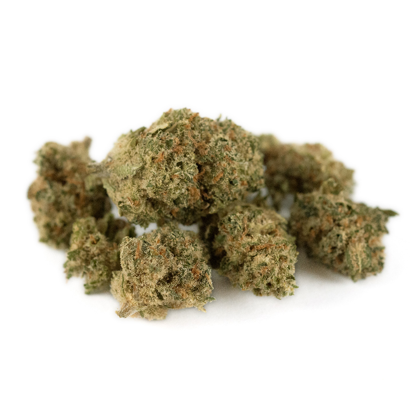 OrangeCoockie Indoor Out1 OrangeCoockie Indoor Out1