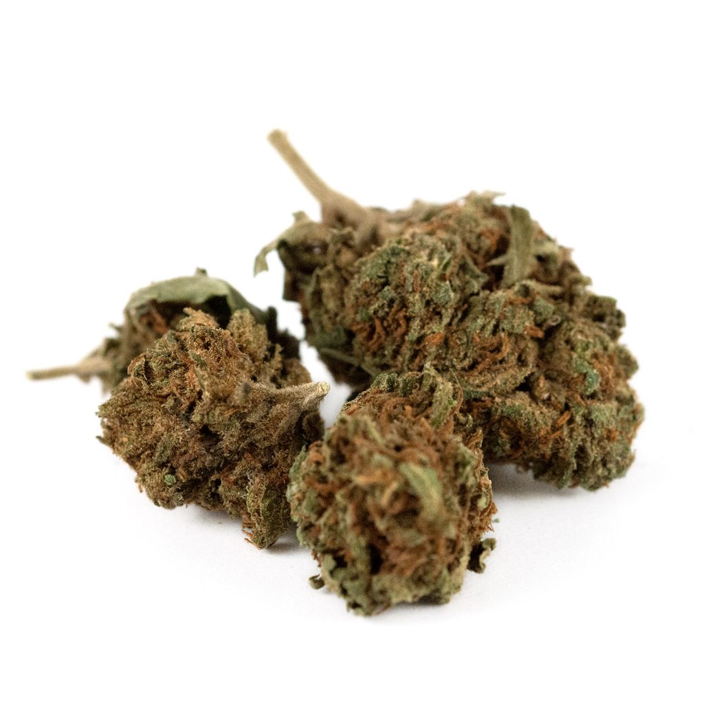 OrangeCoockie Outdoor Out1