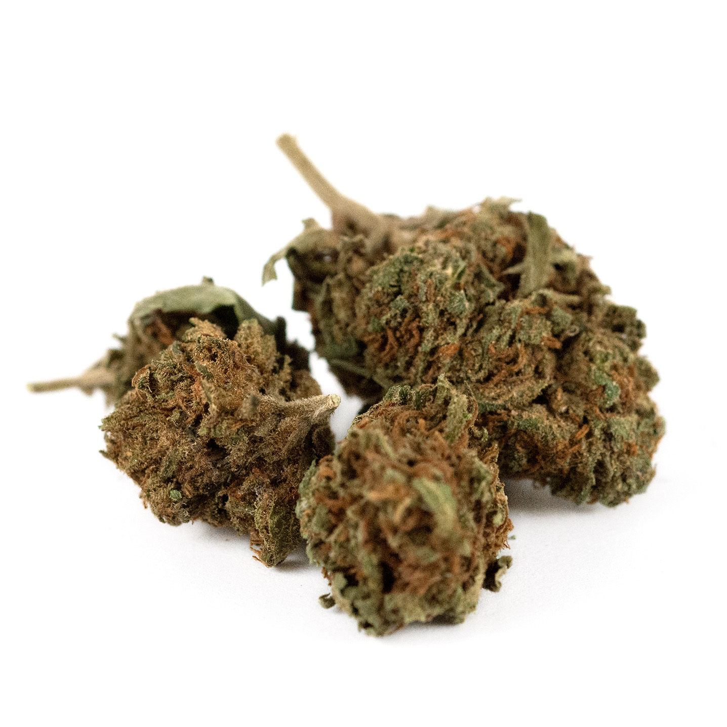 OrangeCoockie Outdoor Out1