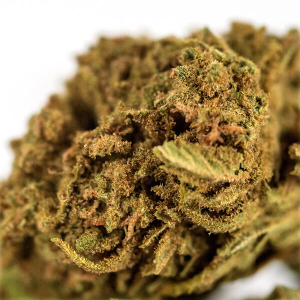Zkittlez Outdoor Detail 600x6002