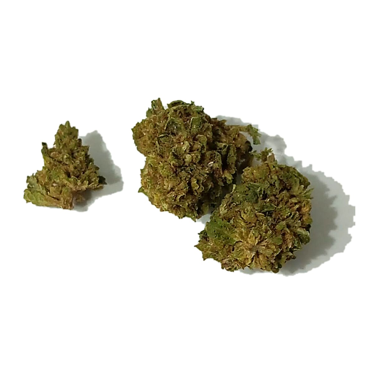 flor cbd amnesia cbdy grow shop flor cbd amnesia cbdy grow shop