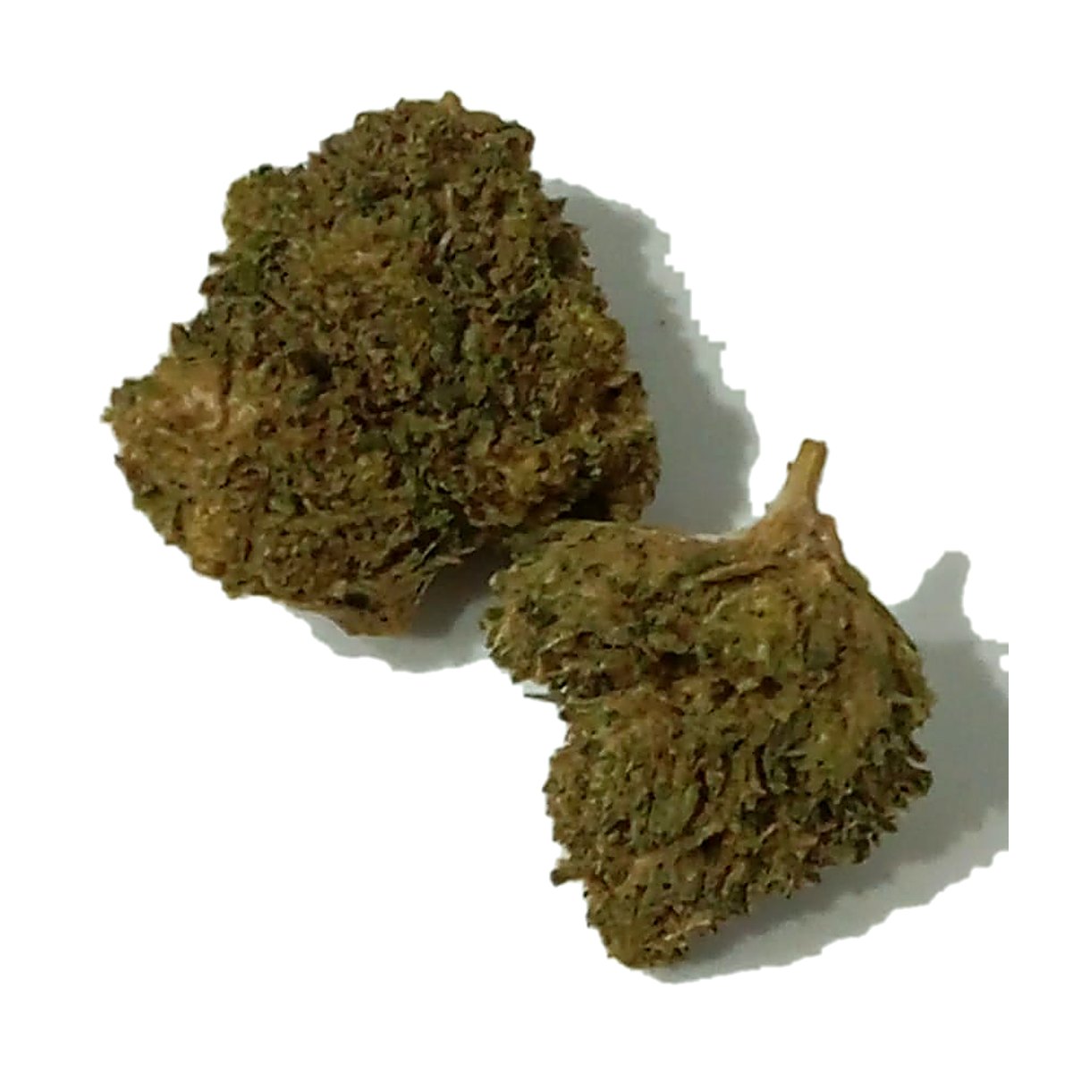 flor cbd banana cbdy grow shop