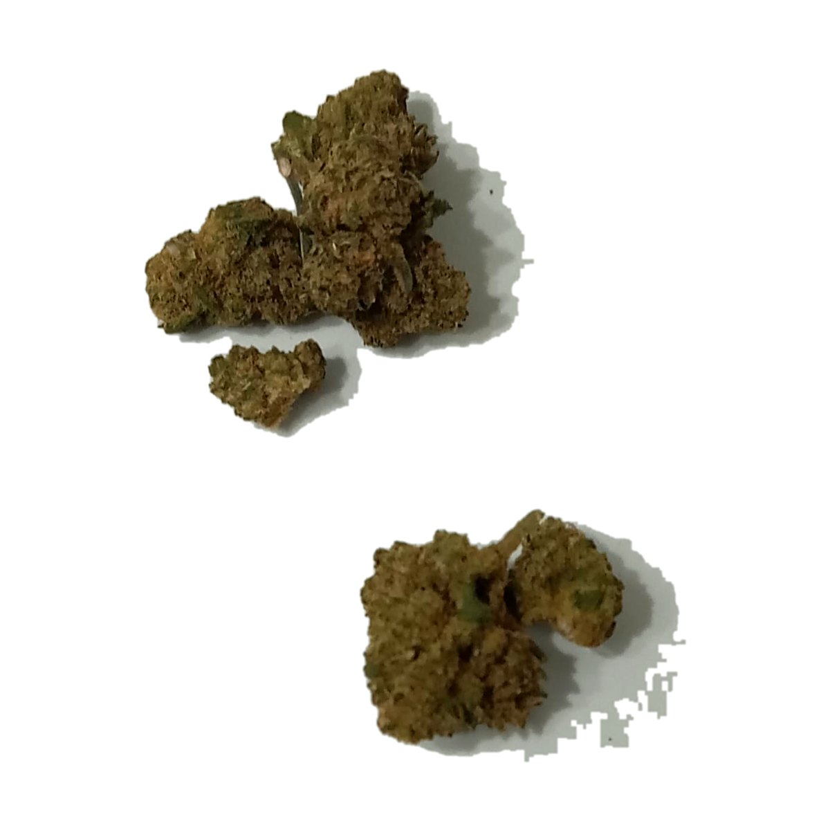 flor cbd bubble gum outdoor cbdy grow shop