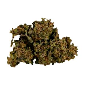 flor cbd gorilla glue premium cbdy grow shop