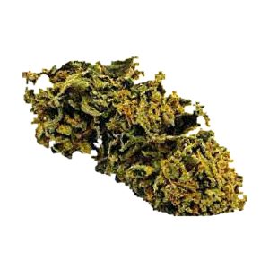 flor cbd strawberry cbdy grow shop