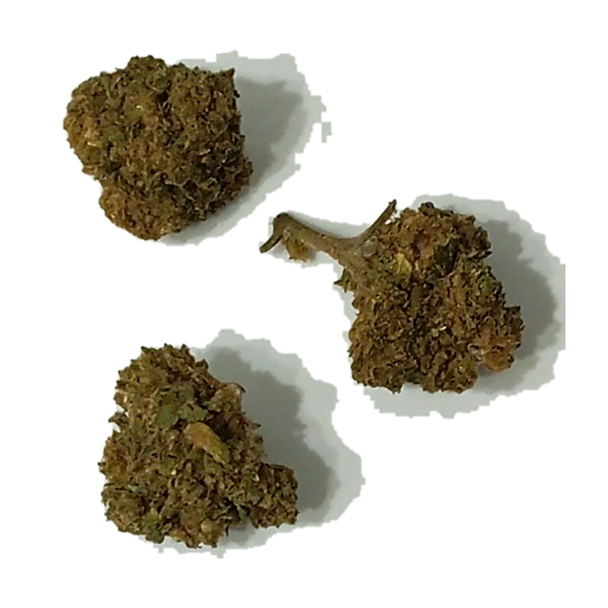 flor cbd ultra splash hydro cbdy grow shop